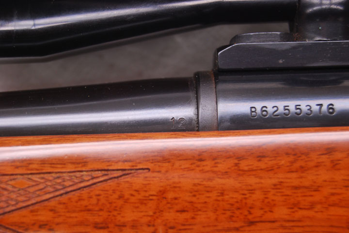 Serial number and date code area
